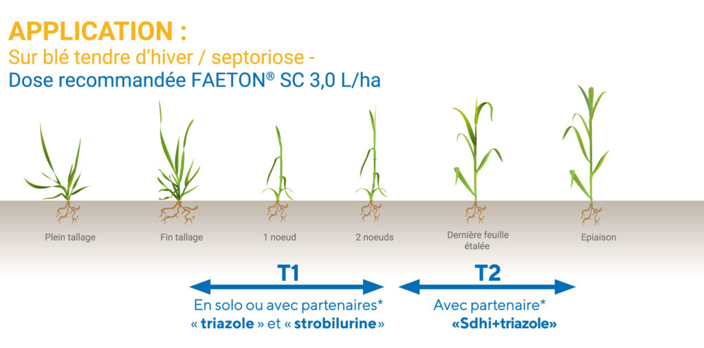 Positionnement du soufre Faeton en T1 et T2 sur blé