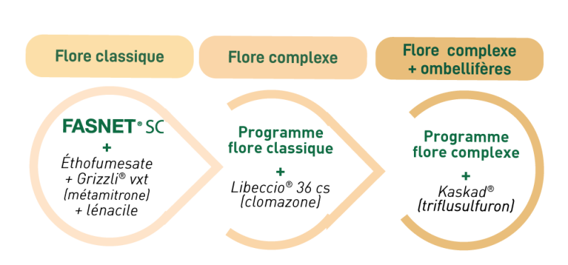 Des programmes modulables